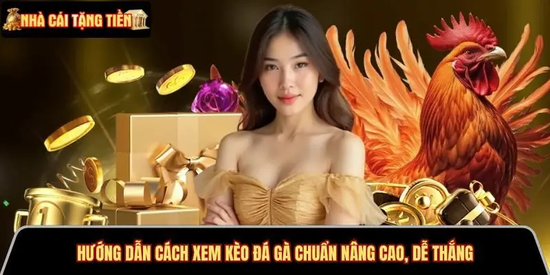 hướng dẫn cách xem kèo đá gà chuẩn