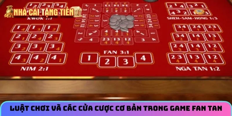 Luật chơi và các cửa cược cơ bản trong game Fan Tan